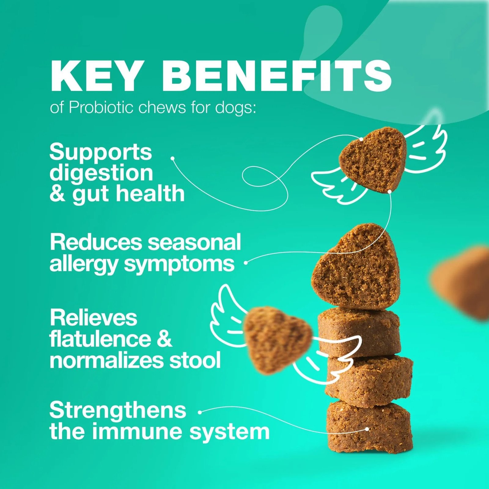 Do Not Sell On Amazon Probiotics For Dogs Support Gut Health Immunity - Image 6