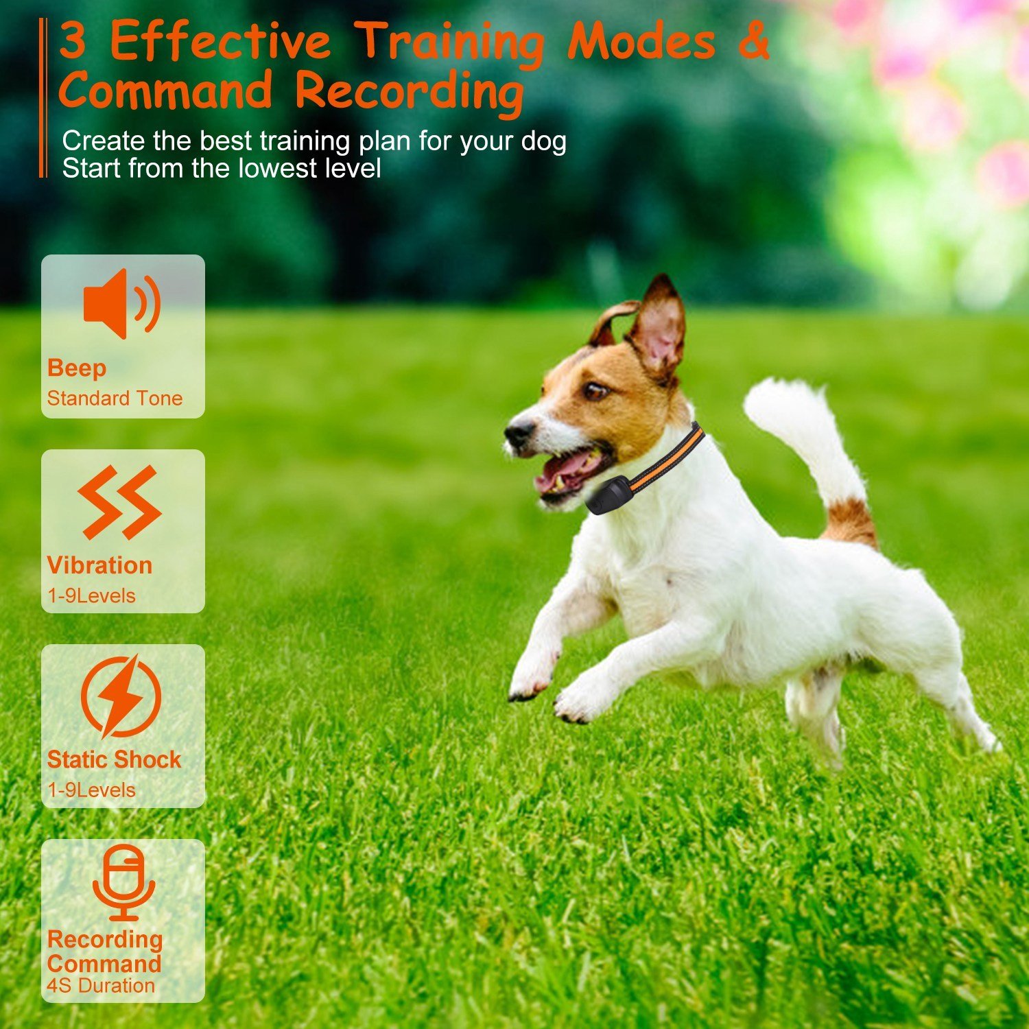 1Pc 984FT Dog Training Collar IP65 Waterproof Pet Beep Vibration Electric Shock Collar 3 Channels Rechargeable Transmitter Receiver Trainer With Recording Safety Keypad Lock - Image 2