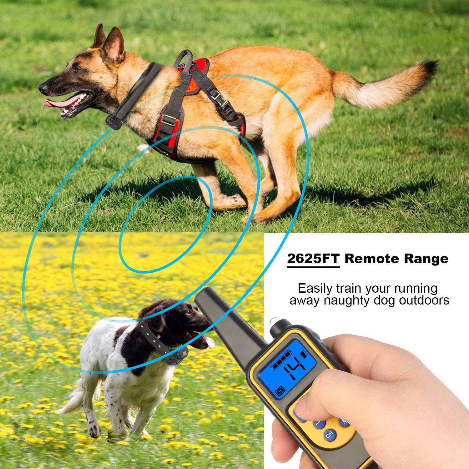 1Pc Dog Training Collar With Remote IP67 Waterproof Pet Trainer 300mAh Rechargeable 875 Yard Remote Control 4 Modes Adjustable Level - Image 3
