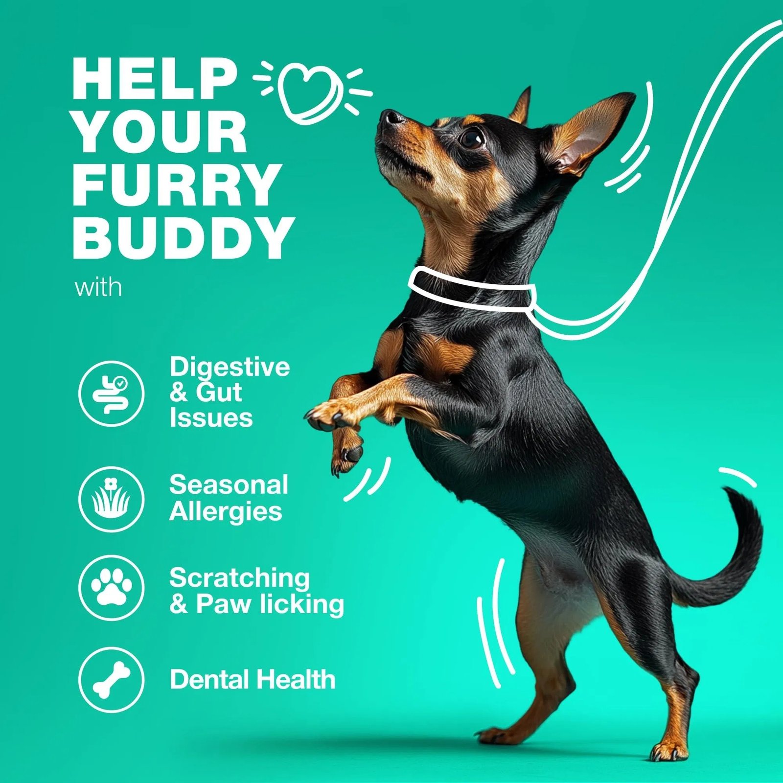 Do Not Sell On Amazon Probiotics For Dogs Support Gut Health Immunity - Image 8